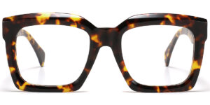 funkyframes f5982 2
