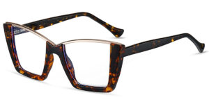 funkyframes f6041 2
